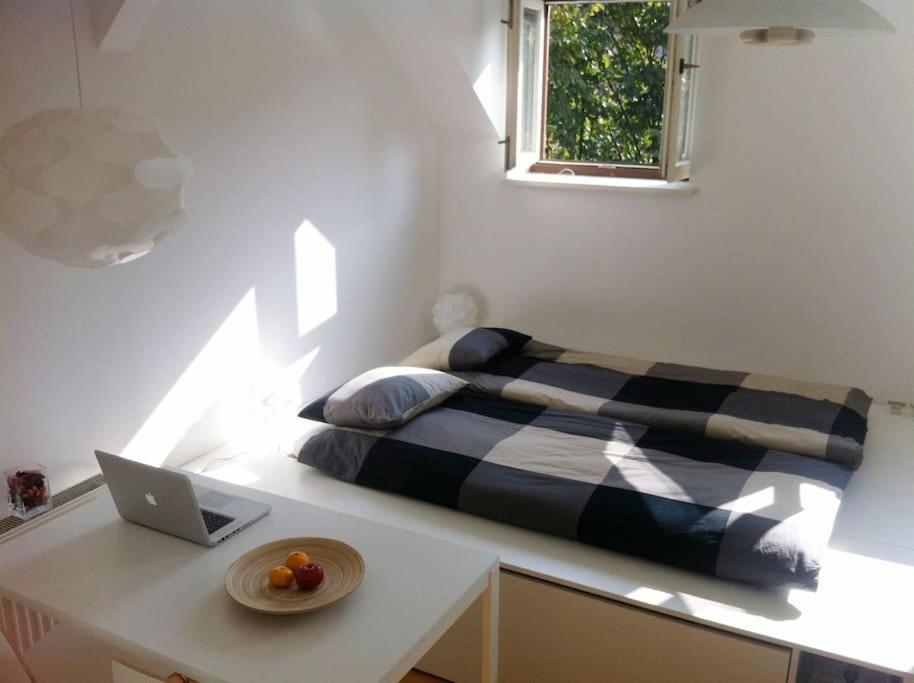 The Cute, Sunny Apartment In The Center +P Ljubljana Eksteriør bilde