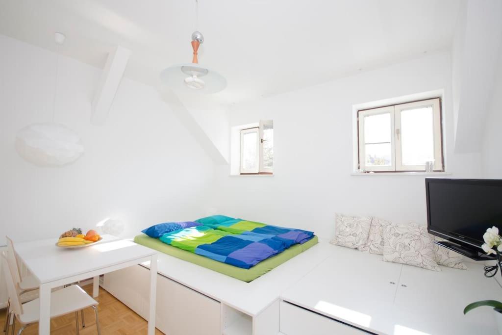 The Cute, Sunny Apartment In The Center +P Ljubljana Eksteriør bilde