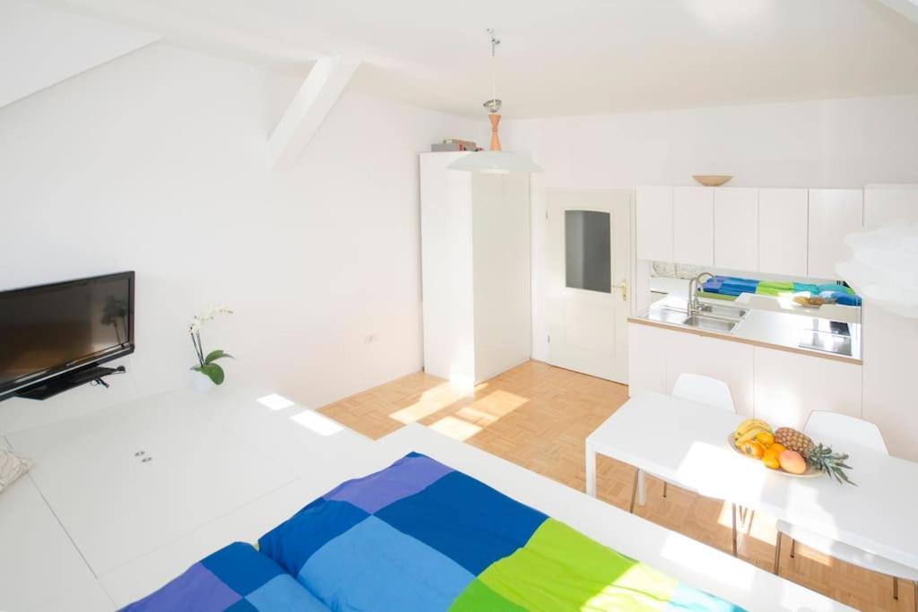 The Cute, Sunny Apartment In The Center +P Ljubljana Eksteriør bilde